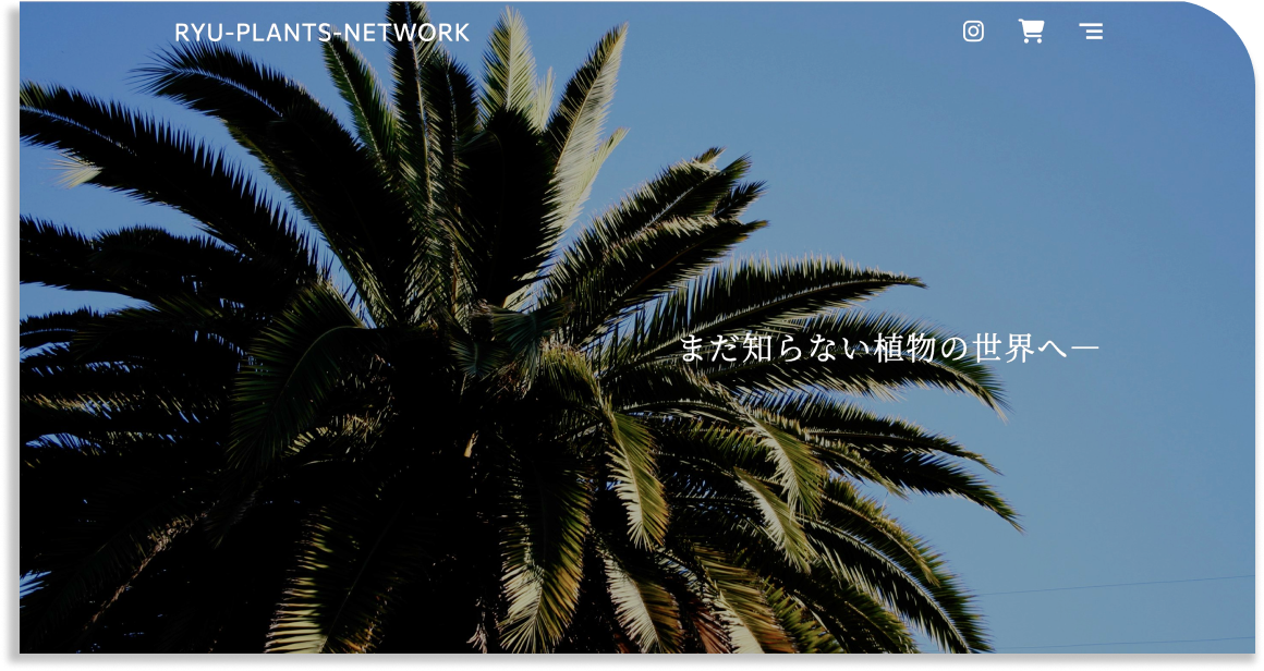 実績